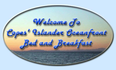 Courtenay B&B Comox Courtney BC image