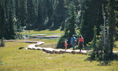 hiking in Strathcona Park