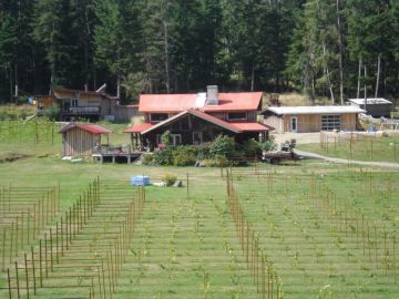 Southend winery Quadra Island